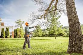 Best Lawn Watering Services  in Macopin, NJ