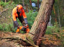 Best Soil Testing and Treatment  in Macopin, NJ