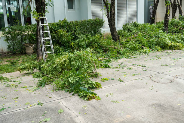 Best Tree Risk Assessment  in Macopin, NJ