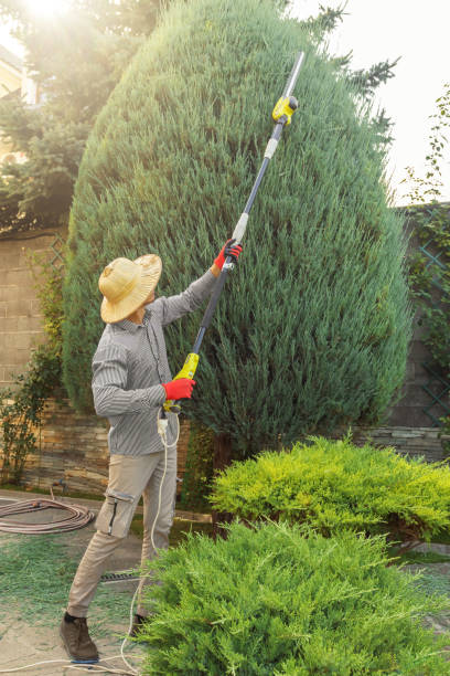 Best Tree Trimming and Pruning  in Macopin, NJ