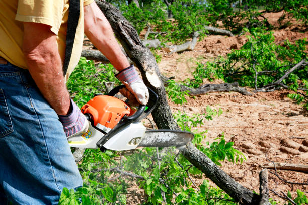 Best Aeration Services  in Macopin, NJ